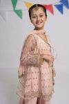3 Piece Embroidered Organza Suit