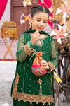 3 Piece Embroidered Organza Suit