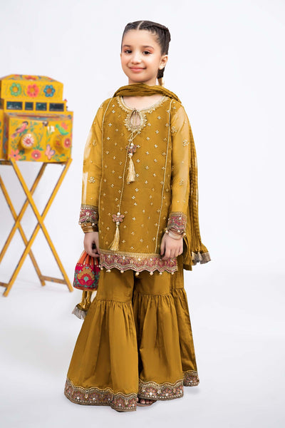 3 PIECE EMBROIDERED ORGANZA SUIT | MKS-EF24-21 All Products MKS2421-023-MTD