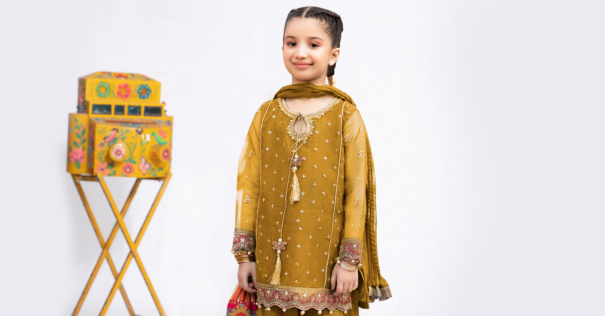 3 Piece Embroidered Organza Suit