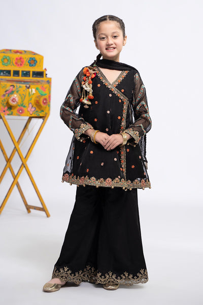 3 PIECE EMBROIDERED ORGANZA SUIT | MKS-EF24-24 All Products MKS2424-023-BLK