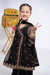 3 Piece Embroidered Organza Suit