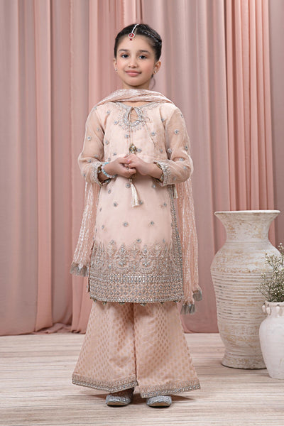 3 PIECE EMBROIDERED ORGANZA SUIT | MKS-EF24-25 All Products MKS2425-023-PCH