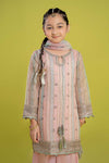3 Piece Embroidered Yarn Dyed Suit