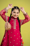 3 Piece Embroidered Organza Suit