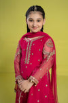 3 Piece Embroidered Organza Suit