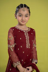 3 Piece Embroidered Organza Suit