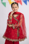 3 Piece Embroidered Organza Suit