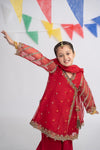 3 Piece Embroidered Organza Suit