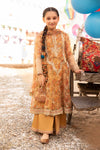 3 Piece Embroidered Zari Masoori Organza Suit