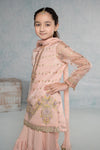 3 Piece Embroidered Organza Suit