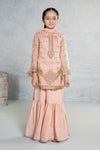 3 Piece Embroidered Organza Suit