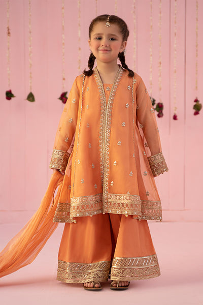 3 PIECE EMBROIDERED ZARI LINE ORGANZA SUIT | MKS-EF24-36 All Products MKS2436-023-PCH