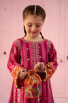 3 Piece Embroidered Yarn Dyed Suit