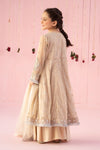 3 Piece Embroidered Net Suit