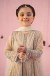3 Piece Embroidered Net Suit