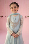 3 Piece Embroidered Organza Suit