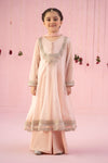 3 Piece Embroidered Organza Suit