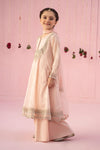 3 Piece Embroidered Organza Suit