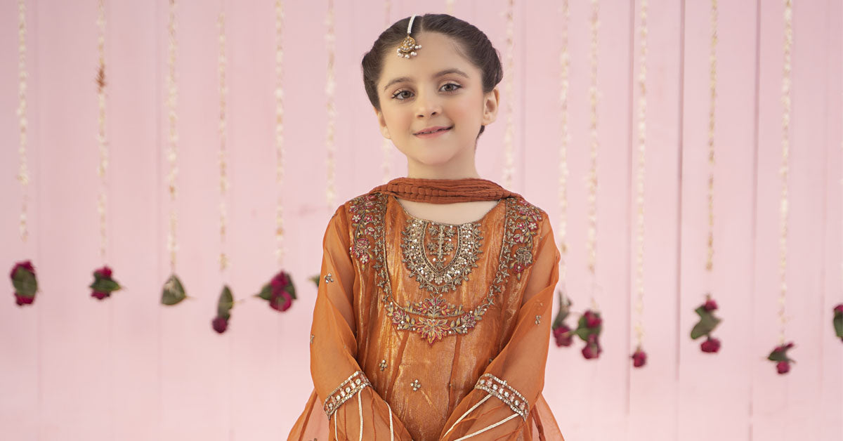 3 Piece Embroidered Organza Suit