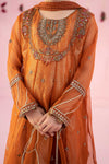 3 Piece Embroidered Organza Suit