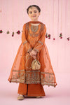 3 Piece Embroidered Organza Suit