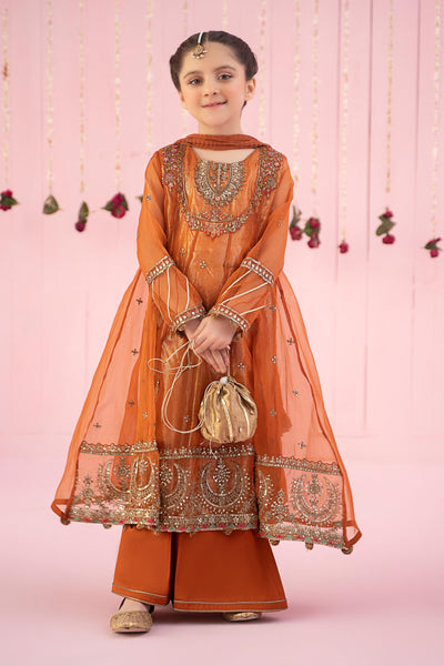 3 PIECE EMBROIDERED ORGANZA SUIT | MKS-EF24-26 All Products MKS2426-023-0RT