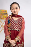 3 Piece Embroidered Organza Suit