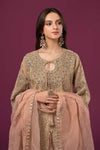 3 Piece Embroidered Organza Suit