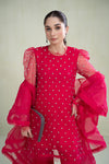 3 Piece Dyed Organza Suit