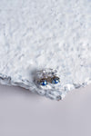 Earrings | AER-S24-49