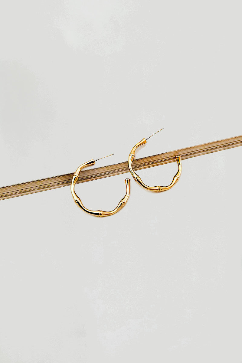 Earrings Gold AER-W21-023