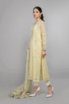 Suit Light Yellow DW-EA20-04