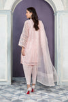 Suit Pink DW-EA22-07