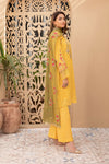 Suit Mustard DW-EF21-05