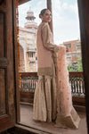 Suit Pink SF-W22-21